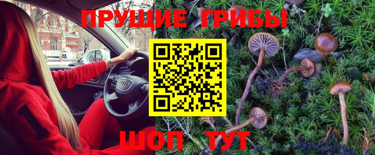 Балаково  Псилоцибиновые грибы ЛСД  Галлюциногенные грибы Psilocybine cubensis  Вход с VPN 